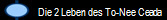 Die 2 Leben des To-Nee Ceada